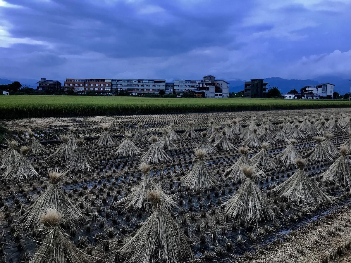 Early Summer Лодун Экстерьер фото