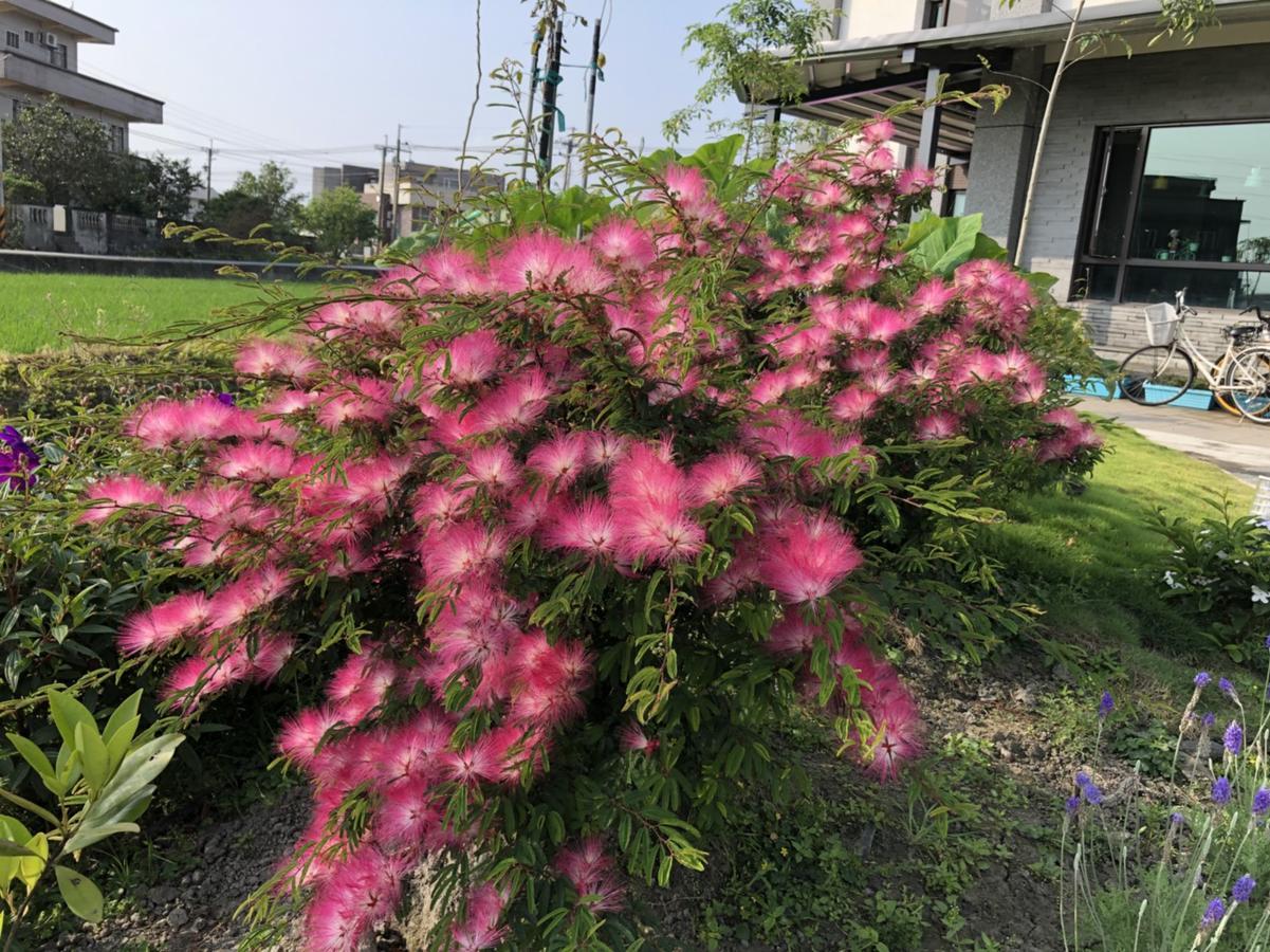 Early Summer Лодун Экстерьер фото